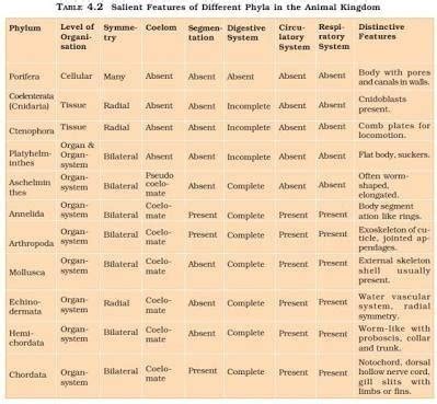 A table with different phyla of animal Kingdom with correct transport ...