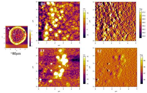 Polymer Crystallization