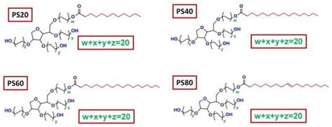 Polysorbate-Based Drug Formulations for Brain-Targeted Drug Delivery ...