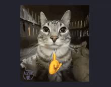 Image result for Linux Graphics SW Stack OpenCL