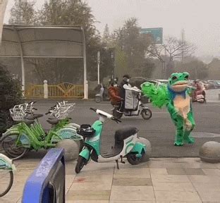 卖崽青蛙的崽被城管敲烂扔垃圾桶|城管|贵州省_新浪新闻