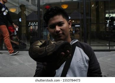 Image result for Python Boys