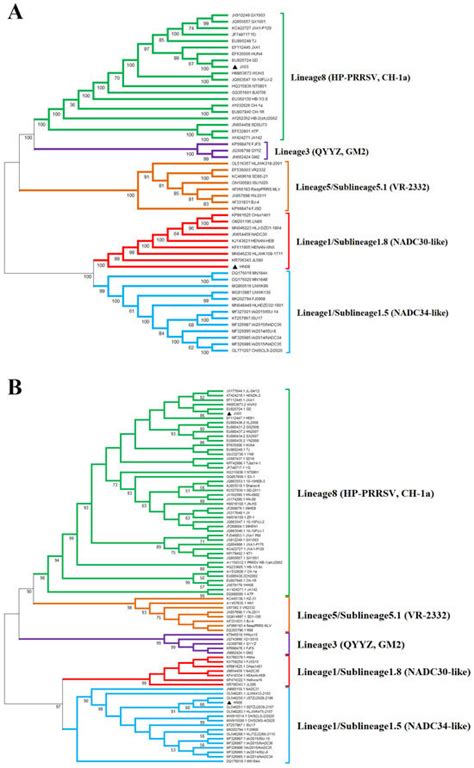 Etiological Detection, Isolation, and Pathogenicity of Porcine ...