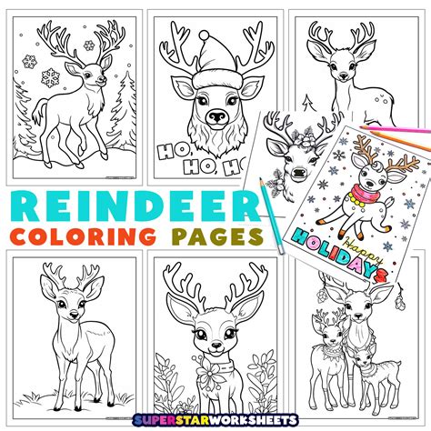 Reindeer Coloring Pages -Worksheets Library - Worksheets Library