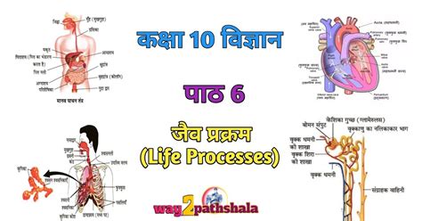 way2pathshala, ePathshala, Sanskrit pathshala, pathshala Classes ...