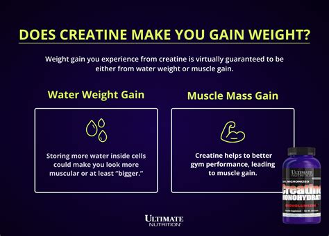 Creatine Water Muscles
