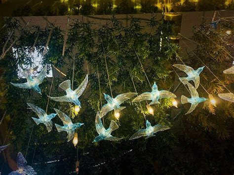Buy WPS- Artifical Flying Birds, Crystal Acrylic Wall/Ceiling, Bedroom ...