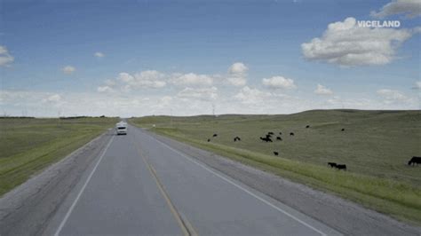 Image result for Road Map for Java Developers