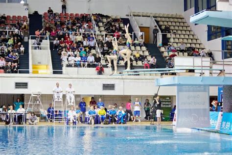 Image result for College Springboard Diving Competitions