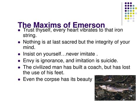 Nature Emerson 的图像结果
