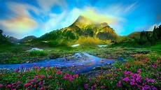 Wallpapers For Pc 1366x768 by 1366x768 Hd Wallpapers Nature Wallpaper Cave Wallpapers For Pc 1366x768