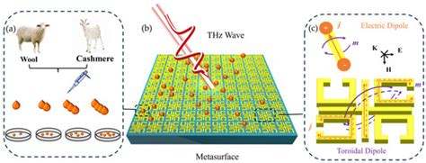 Highly Sensitive Qualitative and Quantitative Identification of ...