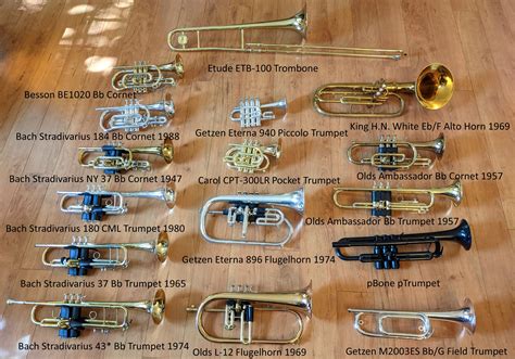 Pictures Of Different Types Of Trumpets Flash Sales | cityofclovis.org