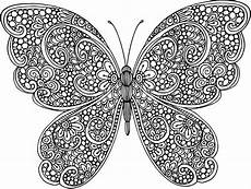 malvorlage schmetterling erwachsene 20 der besten ideen f 252 r ausmalbilder f 252 r erwachsene malvorlage schmetterling erwachsene 20 der besten ideen f 252 r ausmalbilder f 252 r erwachsene