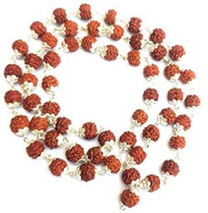 Apnisanskriti Rudraksha Mala or Pure Silver Caps for Men/Women ...