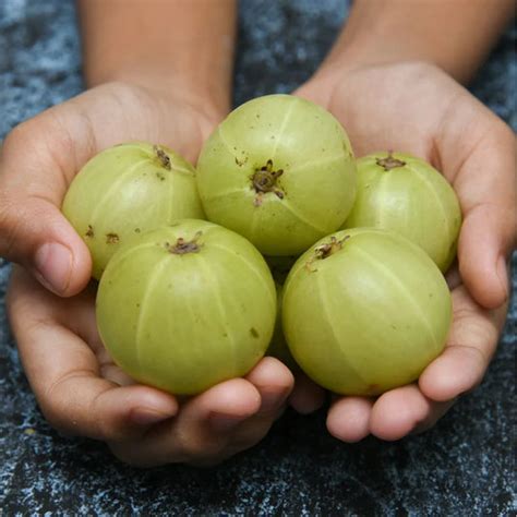 7 Ways Amla Boosts Iron Absorption & Fights Fatigue Naturally