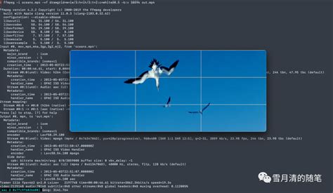 Put Filter Script On Config OpenMP 的图像结果