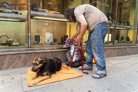 Homless Student Photography 的图像结果