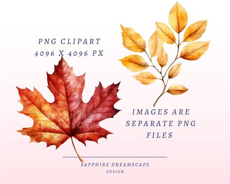 40 Autumn Leaves Clipart, High Quality Transparent Pngs With Instant ...