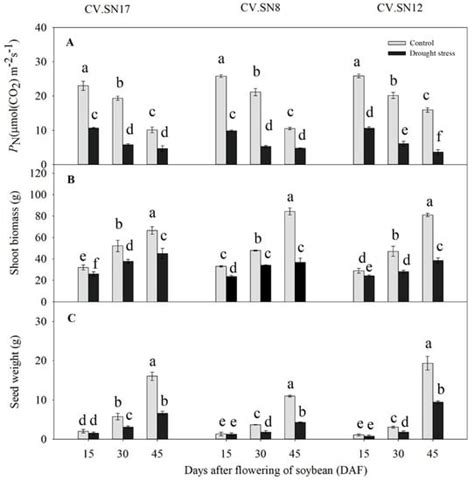 Effect of Drought Stress during Soybean R2–R6 Growth Stages on Sucrose ...