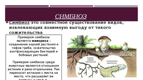 Презентация на тему "Взаимоотношения в природе"