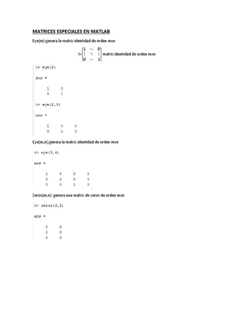 Matriz En El Script De MATLAB 的图像结果