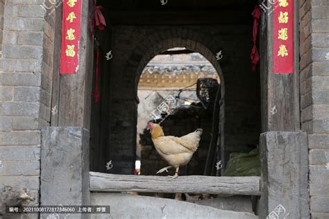 远郊农家炖柴鸡摄影图__传统美食_餐饮美食_摄影图库_昵图网nipic.com