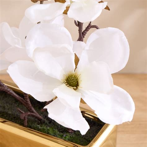 Buy Gloria Elara Artificial Magnolias in Ceramic Pot from Home Centre ...