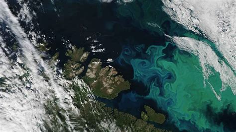 This is what the sixth ocean looks like from the sky, being created ...