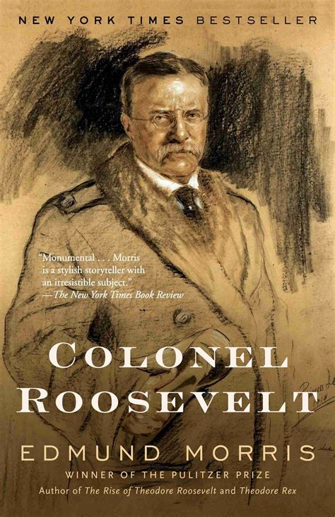 The 15 Best Books on President Theodore Roosevelt - Brooksy
