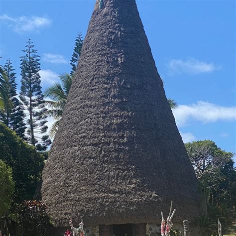 TANEO (2025) All You Need to Know BEFORE You Go (with Photos) - Tripadvisor