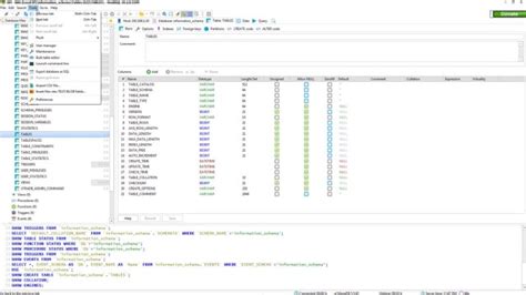 Image result for HeidiSQL for Windows 10