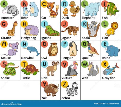 Vector Color Zoo Alphabet With Cute Animals On White Background. Stock ...