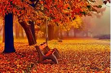 November Fall Laptop Backgrounds by November Wallpaper 183 Free Awesome Hd Backgrounds November Fall Laptop Backgrounds