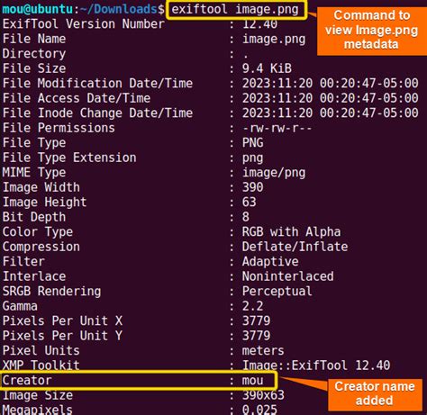 Image result for File Metadata Example