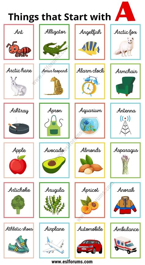 Things That Start With The Letter S In English at Cynthia Maude blog