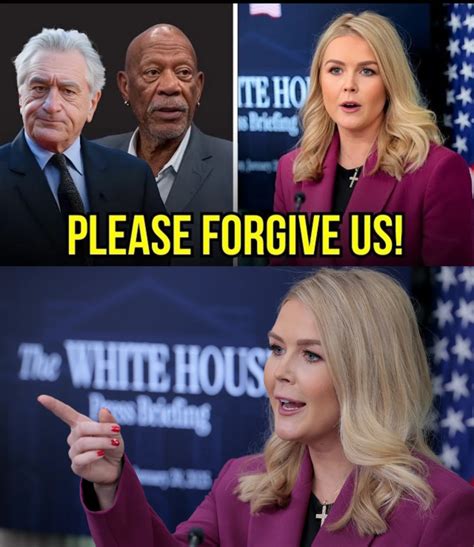 Morgan Freeman & Robert De Niro Try to INSULT Karoline Leavitt, Her ...