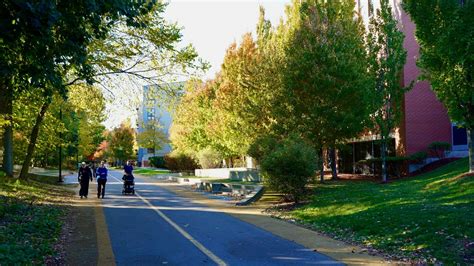 Take a walk down the Somerville Community Path - The Tufts Daily