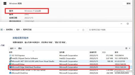 Edge WebView2 Features 的图像结果