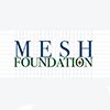 Mesh Foundation - Trust with a Human Touch