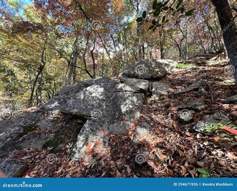 Read Mountain Preserve, Virginia Stock Photo - Image of autumn, read ...