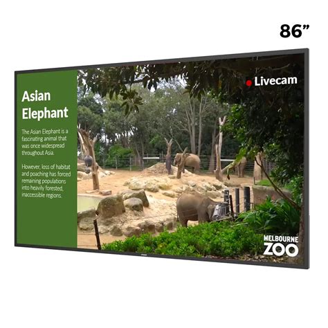 Digital Display Screen Graphics 的图像结果