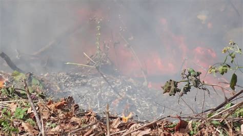 Burn permits required this fall to burn debris like leaves and sticks ...
