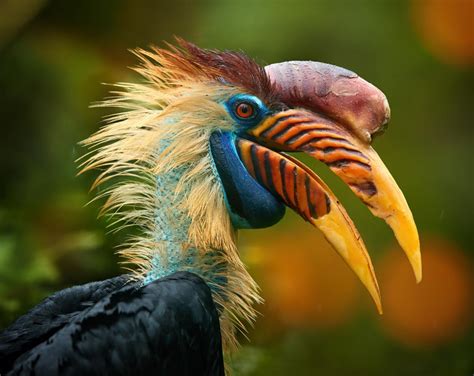 Image result for Sgdclassifier Python