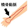 Image result for Pyhton Coding Image