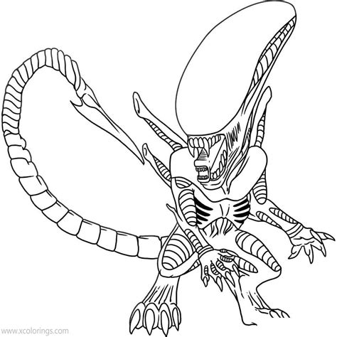 Image result for Predator Color