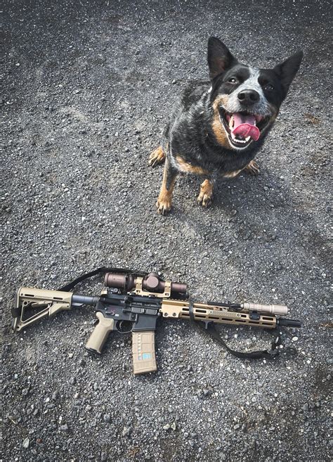 Near clone URGI & clone correct ACD : r/ar15