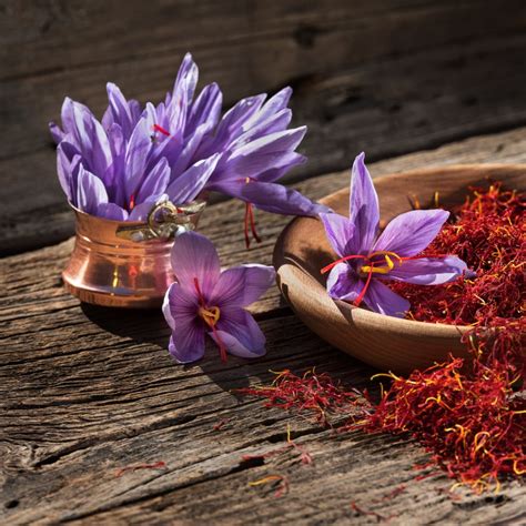 Buy Kashmiri Saffron (Kesar) Bulbs Online - Organicbazar