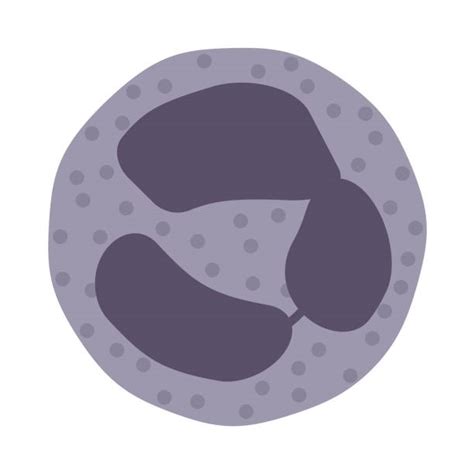 Image result for Python Accessing a Dictionary