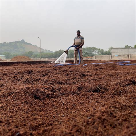 RGF - Raja Green Fields | Coco Peat Products | Wood Based Carbon ...